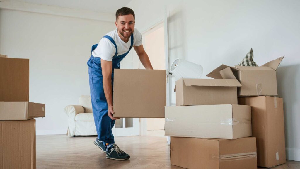 Furniture Moving in MBZ City