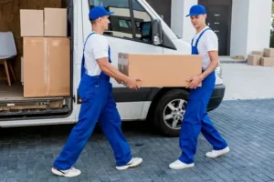 What Do Movers Not Recommend to Move?